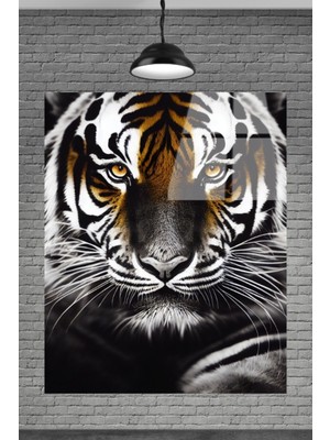 Beta Moda Hub Asil Kaplan Cam Tablosu