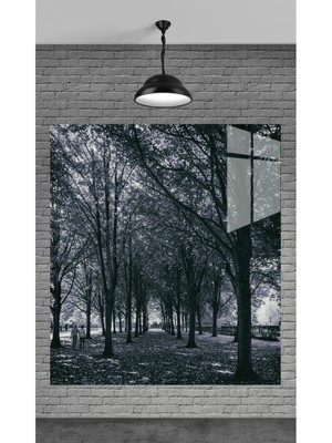 Beta Moda Hub Muhteşem Siyah Beyaz Agaclar Temperli Cam Üzerine Tablo Sevgilinize Yılbaşı Hediye