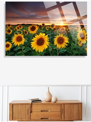 Beta Moda Hub Ay Çiçeği Tarlası Manzarası 4mm Lüks Kırılmaz Temperli Yüksek Çözünürlüklü Cam Tablo