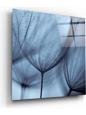 Beta Moda Hub Karahindiba Sükuneti Cam Tablo | Hediyelik, Dekoratif, Ofis, Mutfak