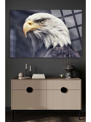 Beta Moda Hub Görkemli Kartal 4mm Lüks Kırılmaz Temperli Yüksek Çözünürlüklü Cam Tablo