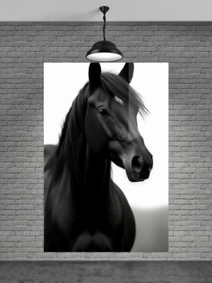 Beta Moda Hub Asil Siyah At Cam Tablo Ev Dekorasyon,balkon Dekorasyonu,dekoratif,duvar Tablo,mutfak Tablo