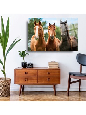 Beta Moda Hub At Görselli Ev Ofis Için Lüks 4mm Kırılmaz Temperli Yüksek Çözünürlüklü Cam Tablo