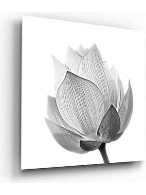 Beta Moda Hub Çiçek Cam Tablo NO:1040