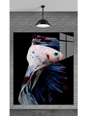 Beta Moda Hub Muhteşem Mavi Süzgeçli Balık Temperli Cam