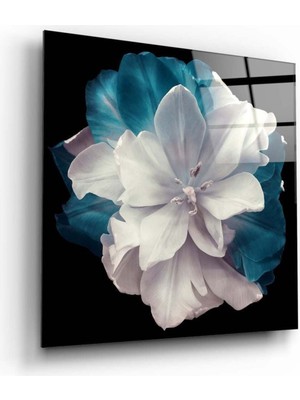 Beta Moda Hub Çiçek Cam Tablo NO:2002