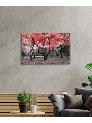 Beta Moda Hub Kırmızı Çiçekli Ağaçlar Cam Tablo, Temperli ve Rodajlı Dayanıklı Kırılmaz Cam