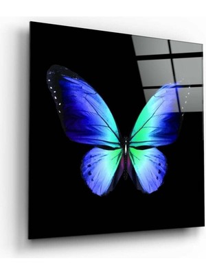 Beta Moda Hub Kelebeğin Zarafeti Cam Tablo