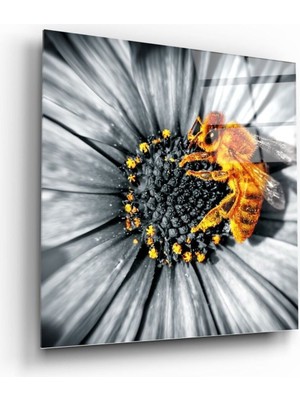 Beta Moda Hub Polen Taşıyan Arı Cam Tablo NO:1051 | Hediyelik, Dekoratif, Ofis, Mutfak