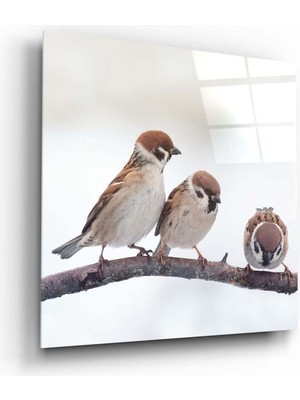Beta Moda Hub Üç Minik Kuş Cam Tablo NO:1051 | Hediyelik, Dekoratif, Ofis, Mutfak