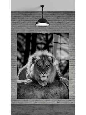 Beta Moda Hub Siyah Beyaz Aslan Dekoratif Temperli Cam Üzerine Tablo Sevgilinize Yılbaşı Hediye