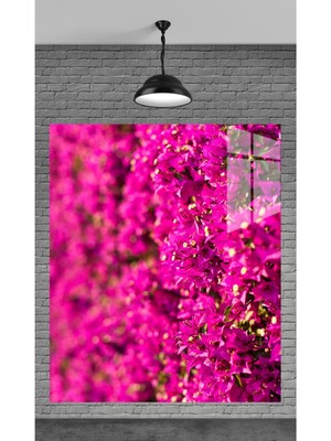 Beta Moda Hub Muhteşem Pembe Çiçekler Temperli Cam Üzerine Tablo Sevgilinize Yılbaşı Hediye