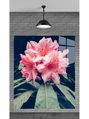 Beta Moda Hub Pembe Çiçekler Yeşil Temperli Cam Üzerine Tablo