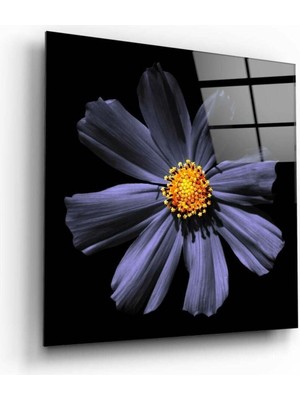 Beta Moda Hub Çiçek Cam Tablo NO:2046