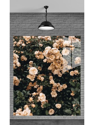 Beta Moda Hub Muhteşem Beyaz Çiçekler Temperli Cam Üzerine Tablo Sevgilinize Yılbaşı Hediye