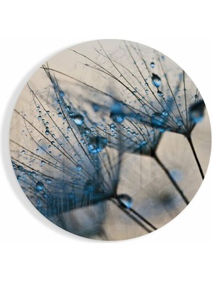 Beta Moda Hub Karahindiba Cam Tablo NO:2052 | Hediyelik, Dekoratif, Ofis, Mutfak