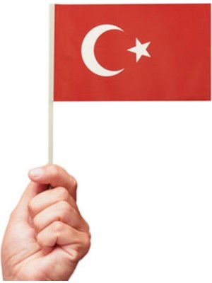 Bal10 Dünyası Orta Boy Çıtalı Ay Yıldız Baskılı Bayrak 80 Adet