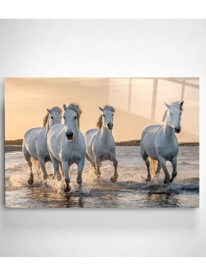 Beta Moda Hub White Horses Cam Tablo