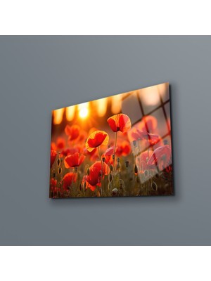 Beta Moda Hub Haşhaş Çiçeği Duvar Dekoru , Gelincik Çiçeği Cam Tablo , Canlı Renkler , Yüksek Kalite, Temperli Cam