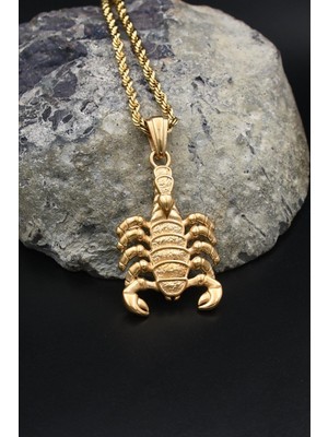 Prestige Akrep Figürlü Kolye Paslanmaz Çelik Zincir Altın Kaplama 3mm 902586