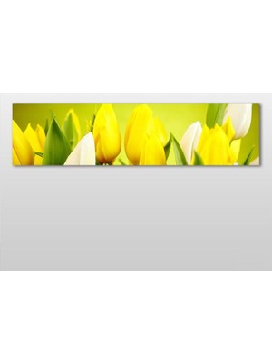 Technopa Sarı Laleler  Kanvas Tablo - 240x80cm