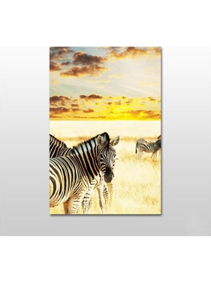 Technopa Zebra Kanvas Tablo - 100X50