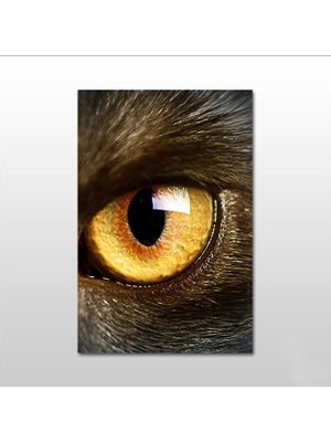 Technopa Tek Göz Kanvas Tablo - 120X60