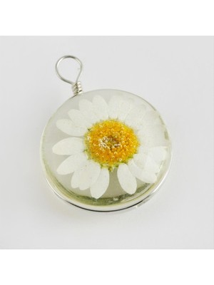 Zero Land Storozde Papatya Canlı Kolye Ucu 2,5 Cm-Beyaz