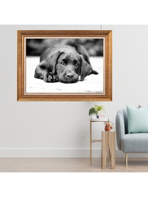 Giyense Altın Varaklı Çerçeveli Paspartulu  Tablo GTY178