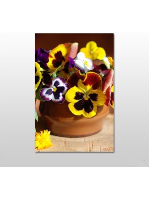 Technopa Saksı Ve Menekşe Kanvas Tablo - 60X30