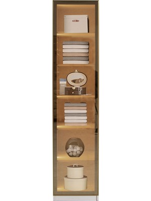 Eos Mobilya Tek Kapak Gardırop Sensörlü LED Aynalı Reflekte Cam Elbise Dolabı 50X59X218 cm - 501