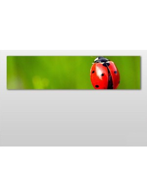 Technopa Uğur Böceği Kanvas Tablo - 120x40cm