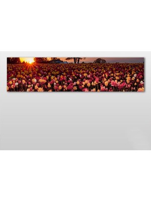 Technopa Laleler Kanvas Tablo - 300x100cm