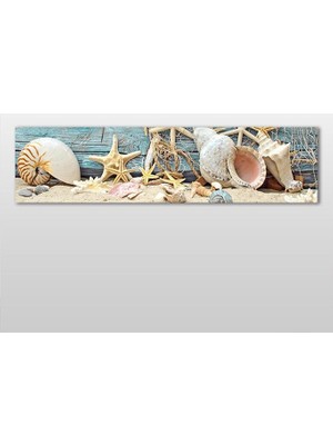 Technopa Deniz Yıldızı Ve Deniz Kabuğu Kanvas Tablo - 300x100cm
