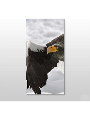 Technopa Kartal Kanvas Tablo - 40x60cm