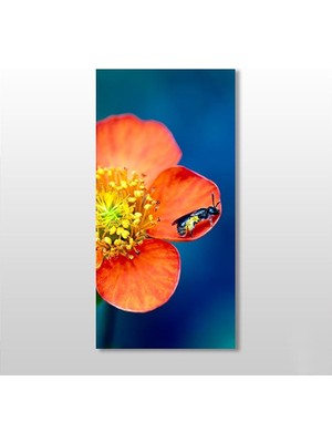 Technopa Çiçekteki Böcek Kanvas Tablo - 140x210cm