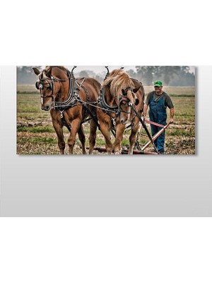 Technopa Atlar Ve Tarla Kanvas Tablo - 180x90cm