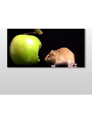 Technopa Elma Ve Hamster Kanvas Tablo - 240x120cm