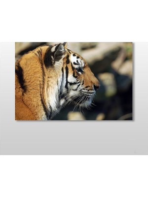 Technopa Kaplan Kanvas Tablo - 105x70cm