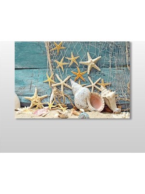 Technopa Deniz Yıldızı Ve Deniz Kabuğu Kanvas Tablo - 30x20cm