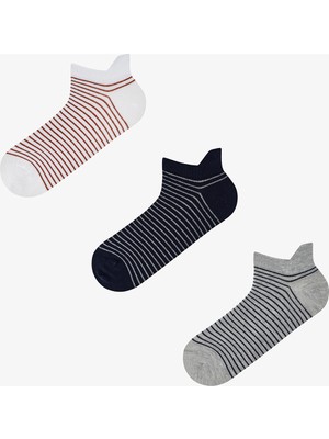 Penti Erkek Renkli Color Stripe 3 3'lü Patik Çorap
