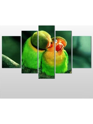 Technopa Papağan Çiftler Kanvas Tablo - 208x120cm