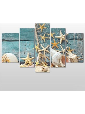 Technopa Deniz Yıldızı Ve Deniz Kabuğu Kanvas Tablo - 155x90cm