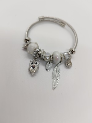 Cadde Dükkanı Charm Çelik Bileklik Silver Baykuş