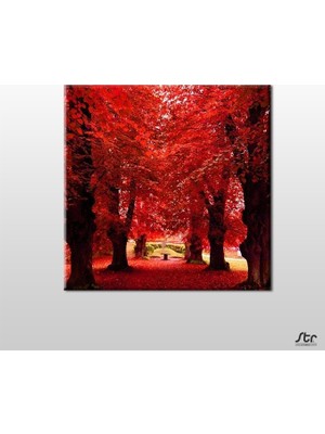 Technopa Sonbahar Ağaçlar Kanvas Tablo - 40x40cm