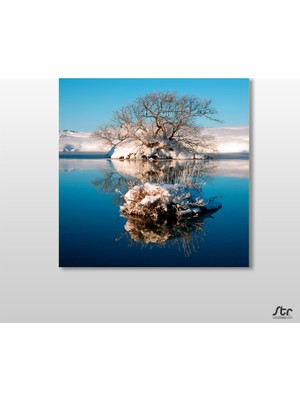 Technopa Göl Ve Kuruyan Ağaç Kanvas Tablo - 90x90cm