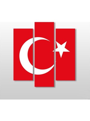 Technopa Türk Bayrak Kanvas Tablo - 75X80cm