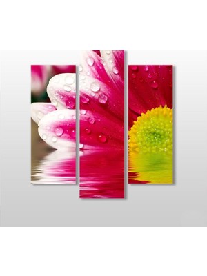 Technopa Papatya Kanvas Tablo - 102x110cm