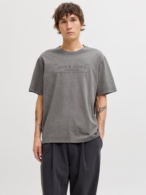 Jack & Jones Jack Jones Jprbluaıden Ss Tee Erkek Gri Tshirt 12293014-02