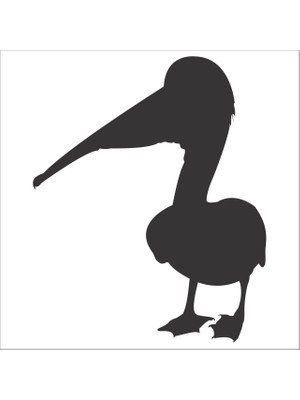 Technopa KUŞ FOLYO STİCKER - 60cm Uzunluk